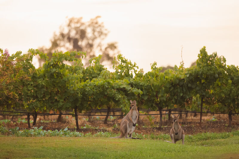 New South Wales