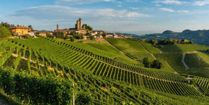Piedmont