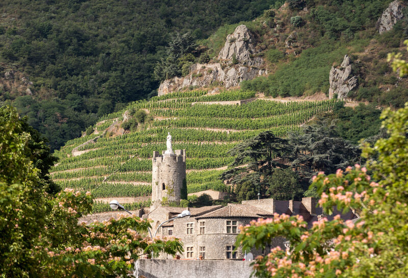 Rhone Valley