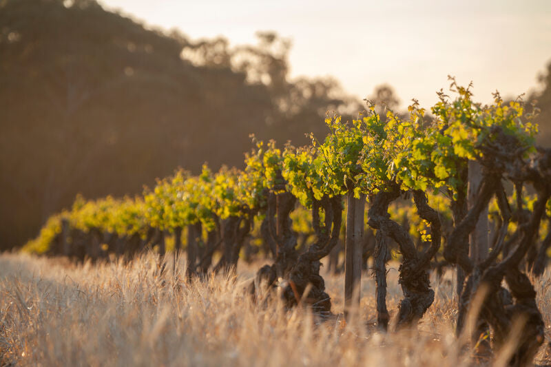 South Australia