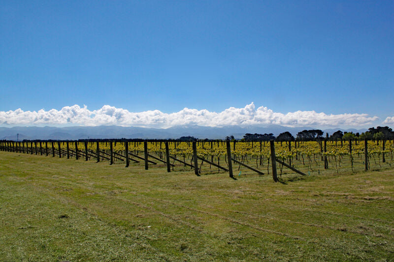 Wairarapa