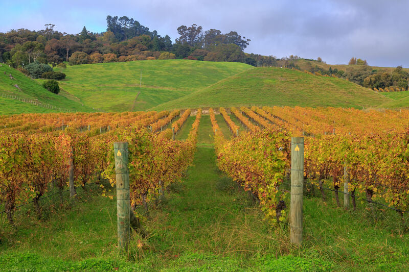 Hawkes Bay